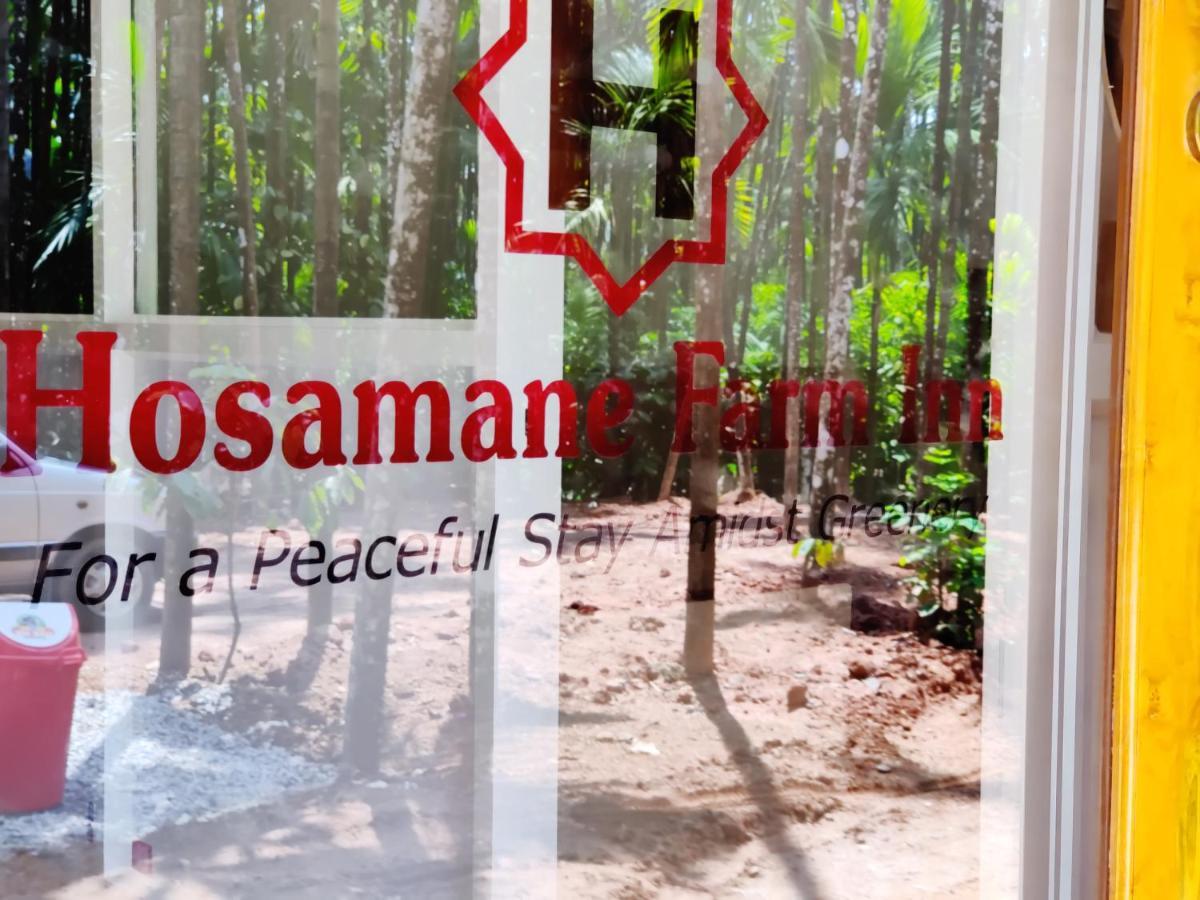 Hosamane Farm Inn Sringeri 외부 사진