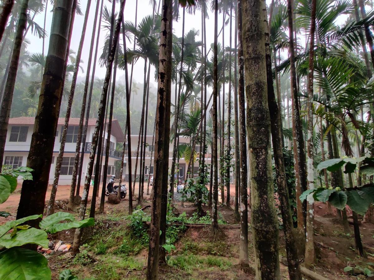 Hosamane Farm Inn Sringeri 외부 사진
