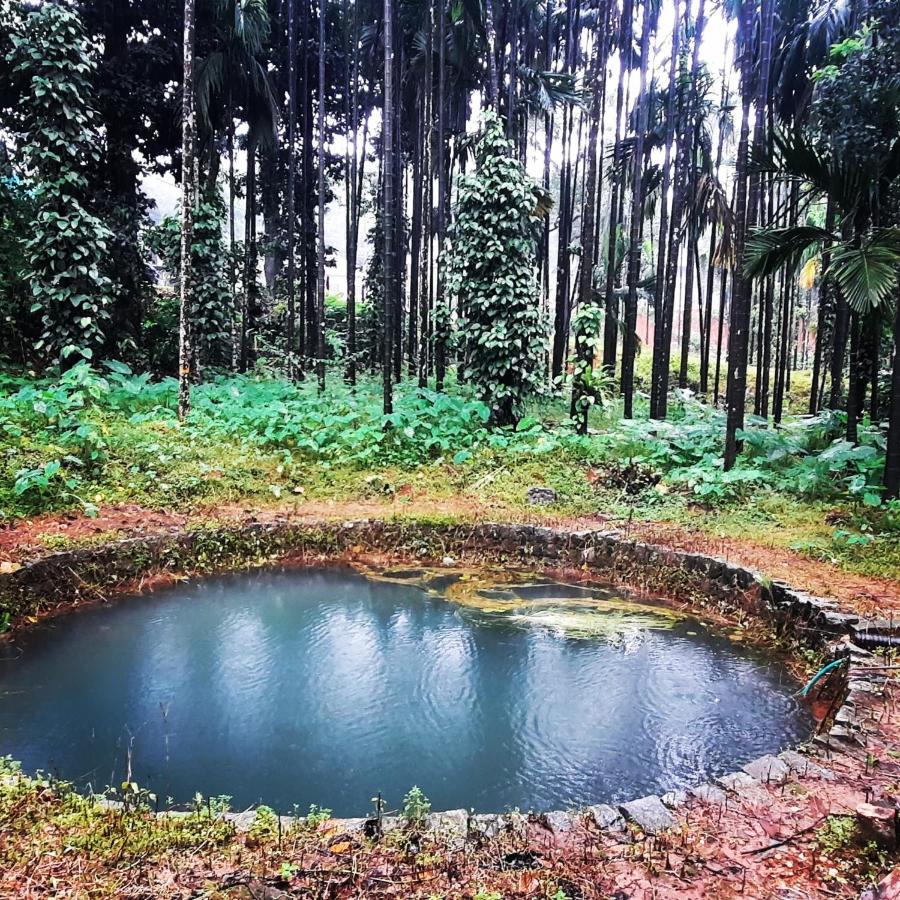 Hosamane Farm Inn Sringeri 외부 사진