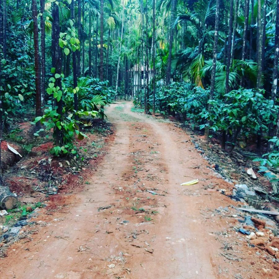 Hosamane Farm Inn Sringeri 외부 사진